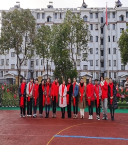 教师团队